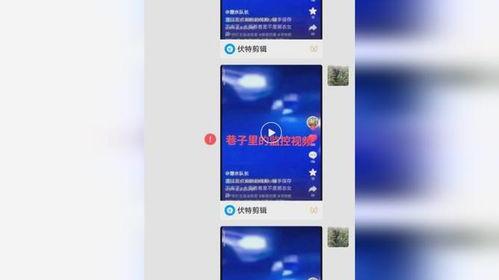 女孩爆料唐山视频播放网站,女孩爆料揭露网络暴力黑幕