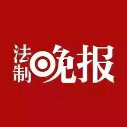 爆料新闻 视频素材库,视频素材库背后的秘密