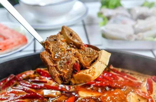 爆料爸爸炒料视频大全集,视频大全集深度解析