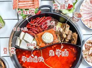 爆料爸爸炒料视频大全集,视频大全集深度解析