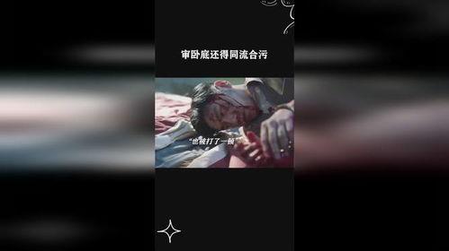 同流合污手机在线观看,揭秘网络世界的暗流涌动