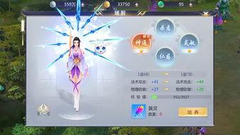 须弥翅膀爆料视频,视频爆料背后的神秘力量