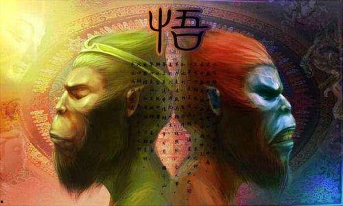 六儿猕猴爆料视频播放,揭秘幕后真相，引发网友热议