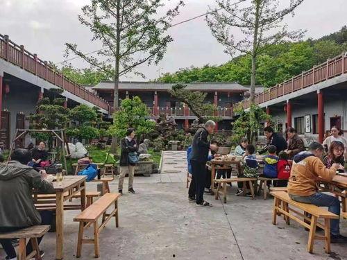 小鹿丢了爆料视频大全,揭秘网络爆料的背后真相