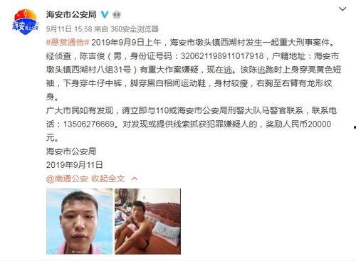 肥西女婿爆料事件视频,揭秘背后惊人真相