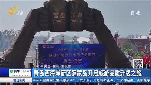 西安天天爆料新闻事件,聚焦城市热点事件，解码社会现象